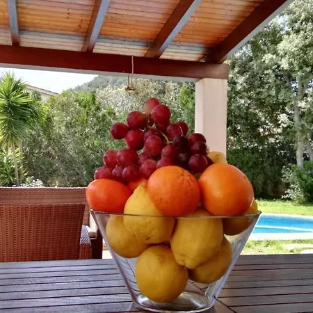 In Pedruscada Mit Privatem Pool By Interhome بيت للعطل